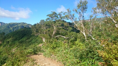 b0148050_1356154.jpg