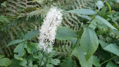 b0148050_1404756.jpg