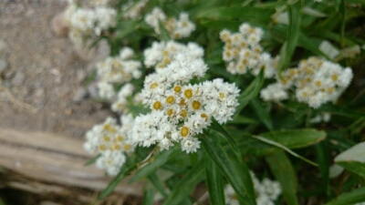 b0148050_14142147.jpg