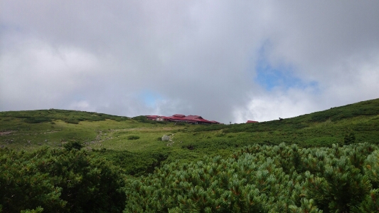 b0148050_1416267.jpg