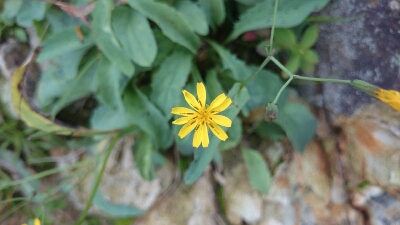 b0148050_1421645.jpg