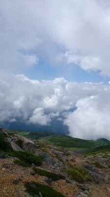b0148050_14342741.jpg