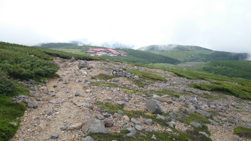 b0148050_14393426.jpg