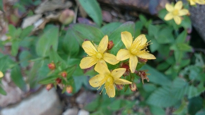 b0148050_1443186.jpg