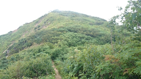 b0148050_1471653.jpg