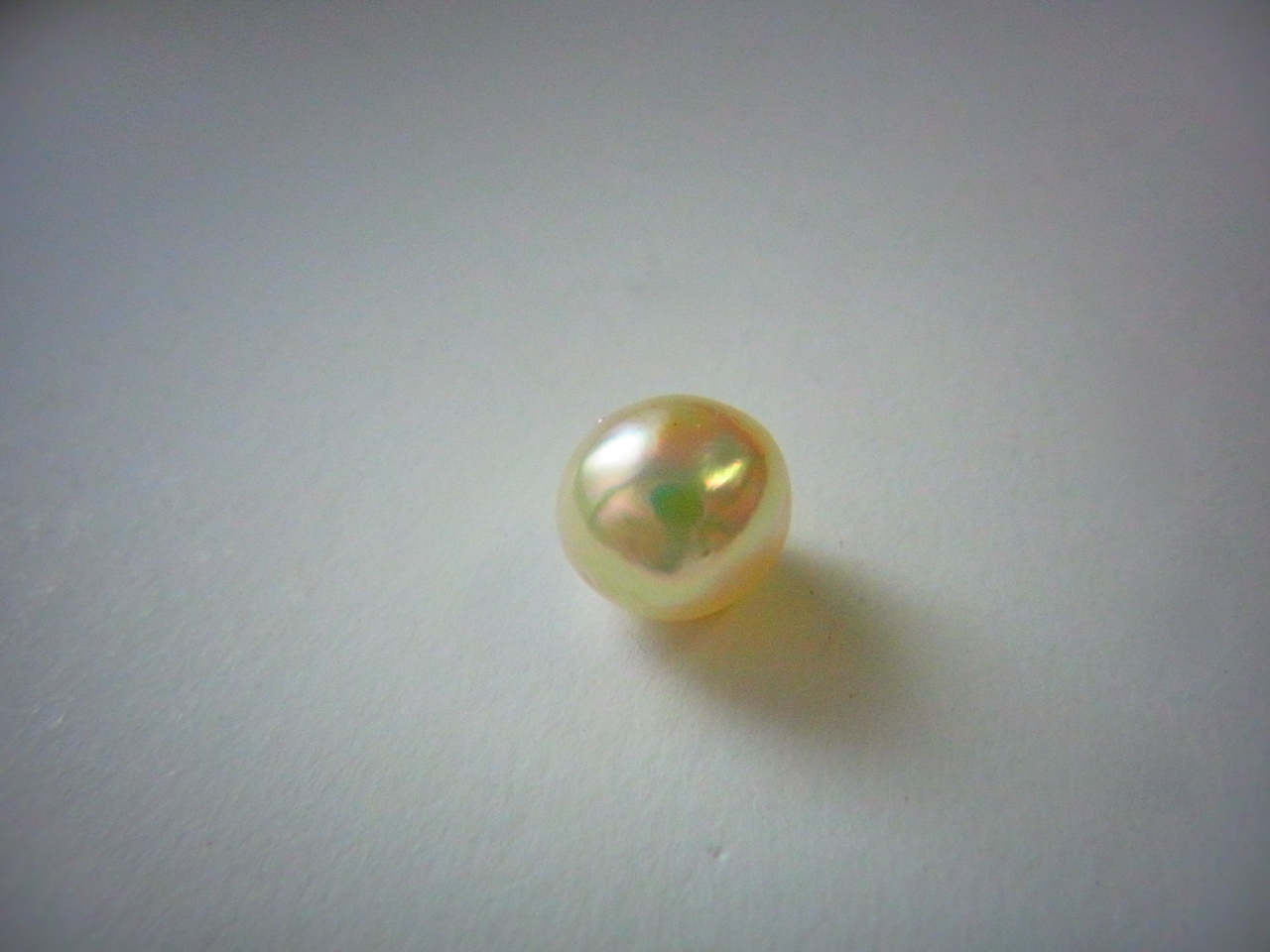b0238760_2051882.jpg