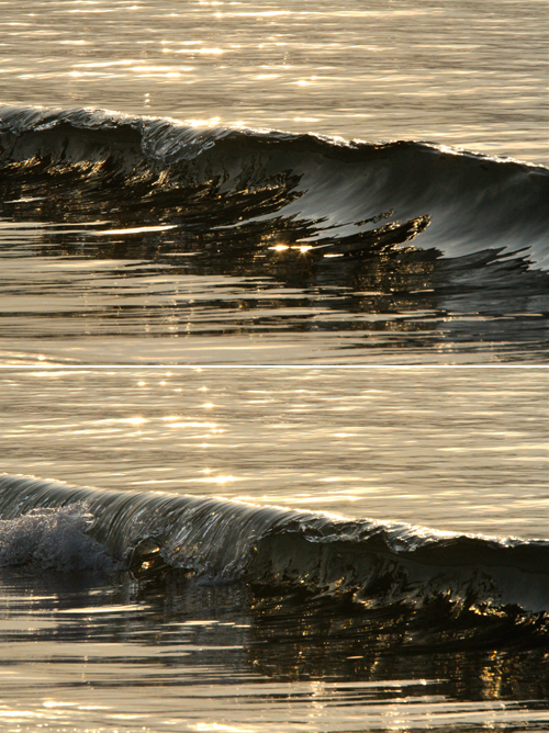 a0157069_1044147.jpg