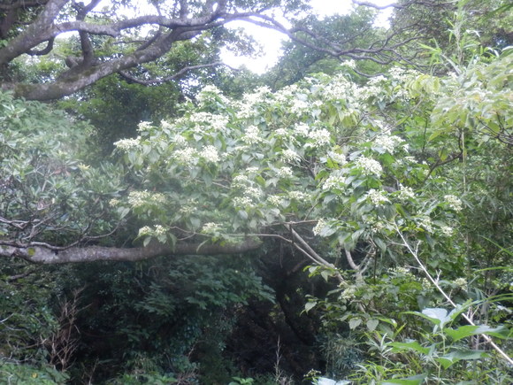 e0292172_20545454.jpg