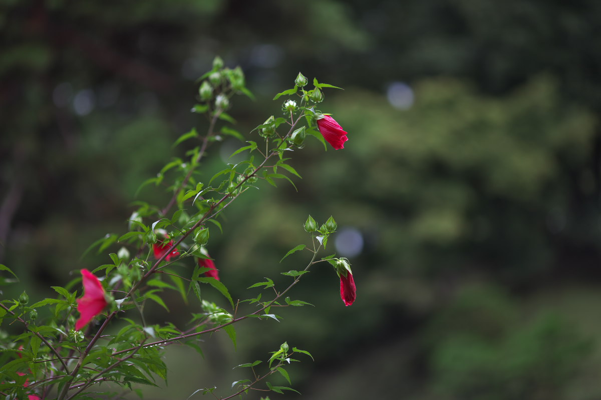 a0083081_1430735.jpg