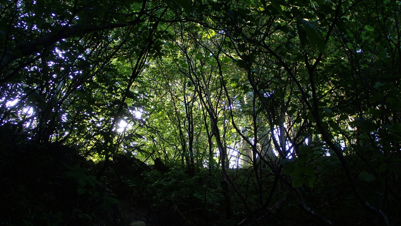 e0024081_11173242.jpg