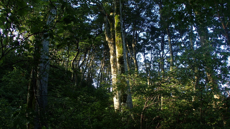 e0024081_11181969.jpg