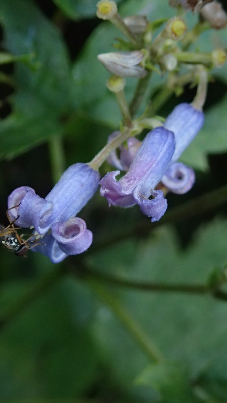 e0024081_11310421.jpg