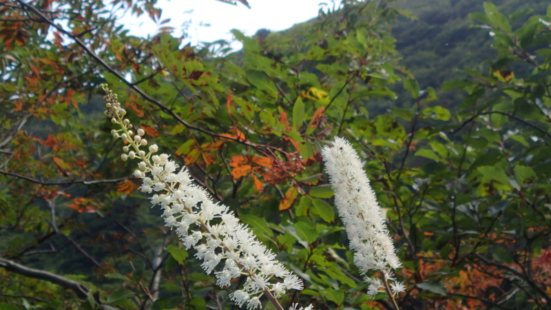 e0024081_11525090.jpg