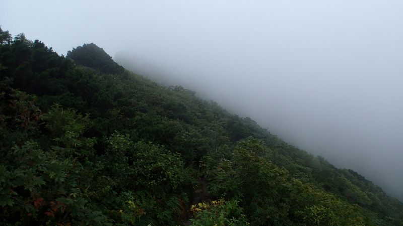 e0024081_11553051.jpg