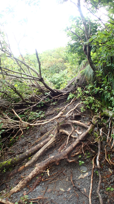 e0024081_11563841.jpg