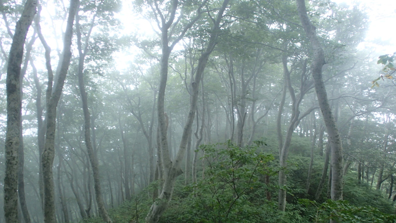 e0024081_12031843.jpg