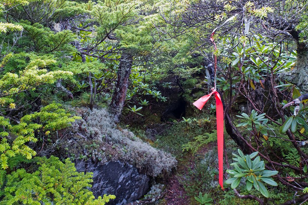 f0234982_13125897.jpg