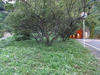f0003283_19014271.jpg