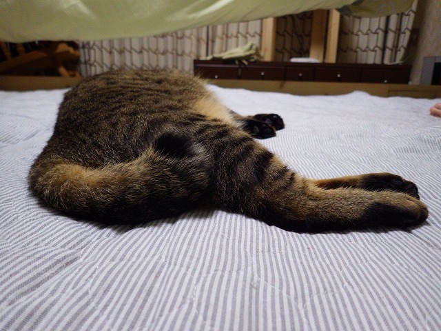 a0159490_133923.jpg