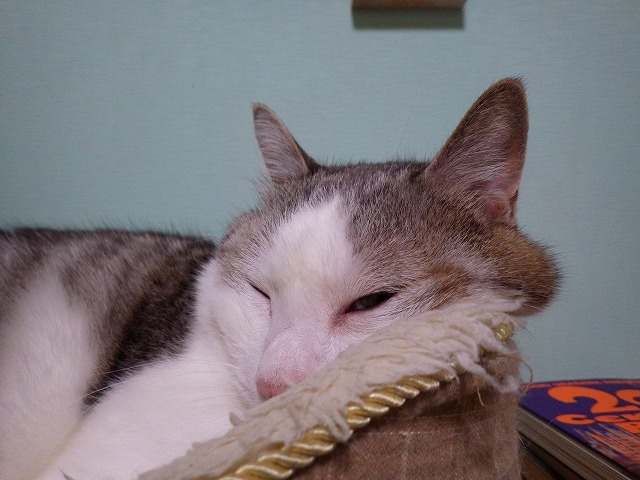 a0159490_1341272.jpg