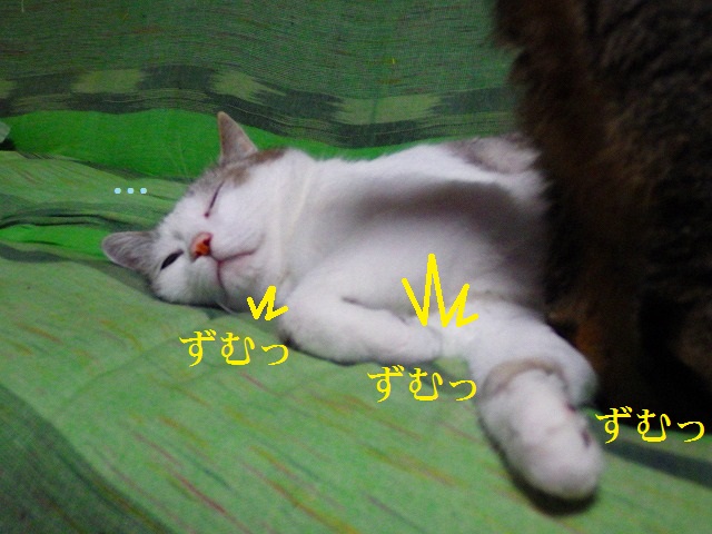 a0159490_15391236.jpg
