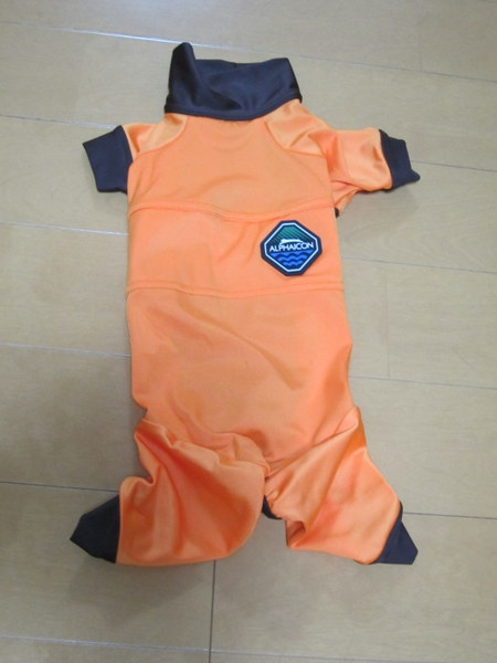 d0098295_23224021.jpg
