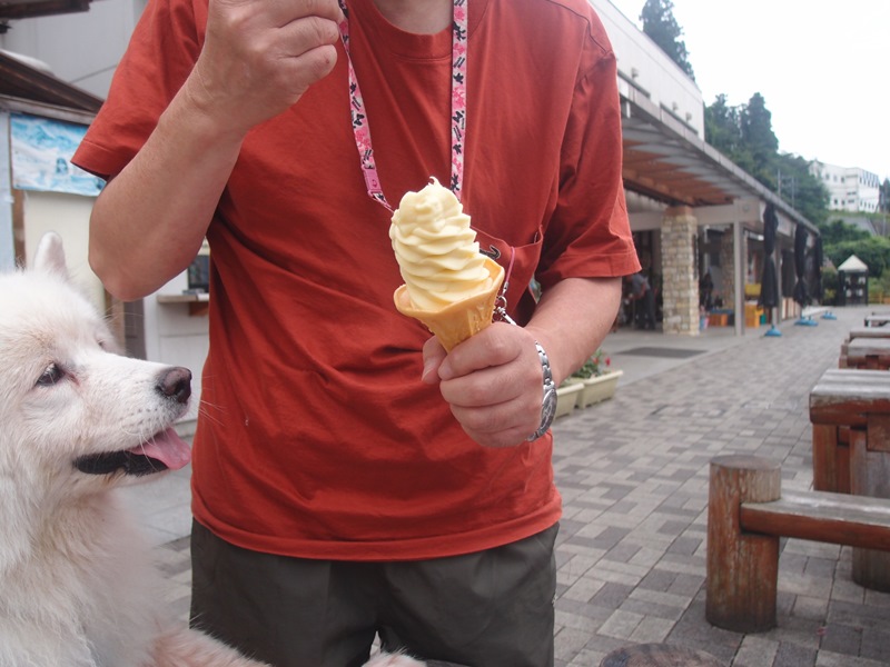 e0018604_09323990.jpg