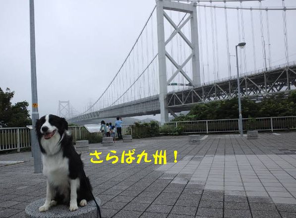 d0224111_19193370.jpg