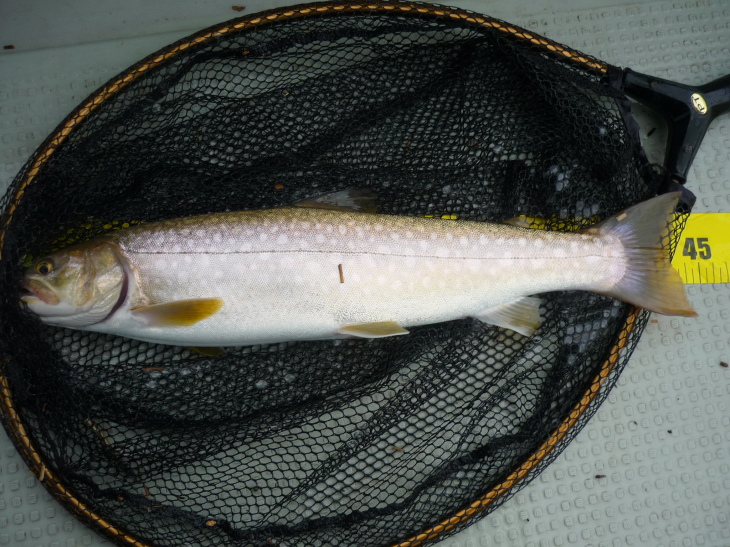 c0232813_01560155.jpg
