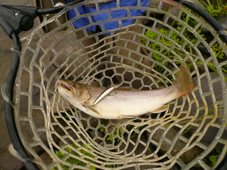 c0232813_01561143.jpg