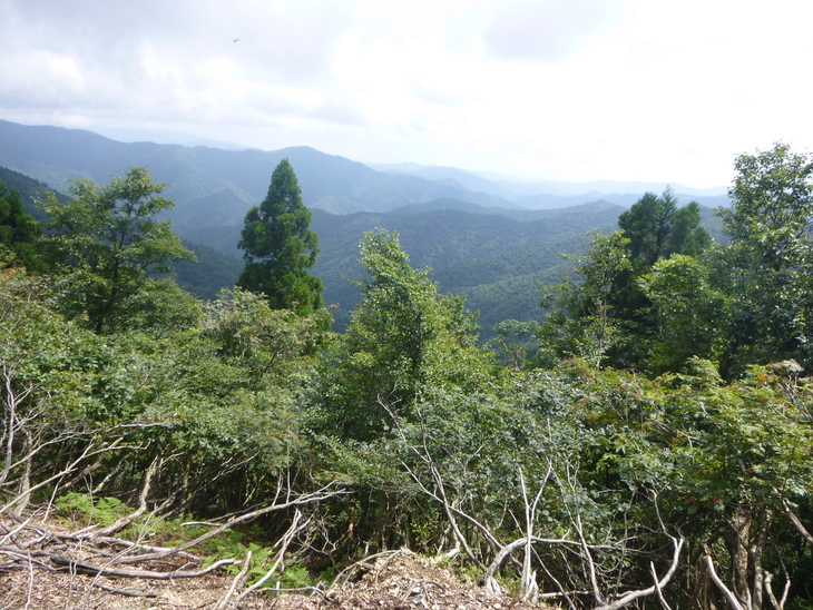 d0170615_8583617.jpg