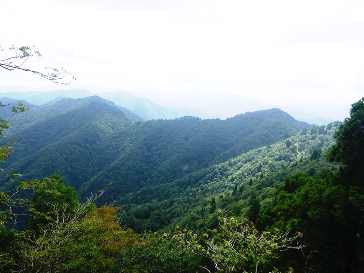 d0170615_8585139.jpg