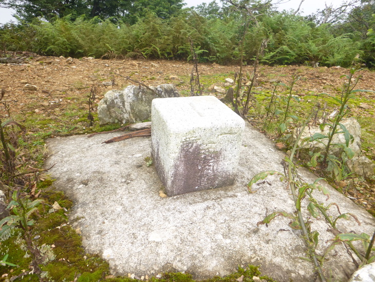 d0170615_8592554.jpg