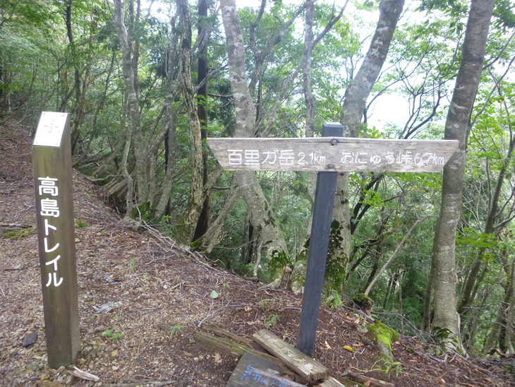 d0170615_901957.jpg