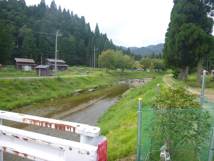 d0170615_914161.jpg