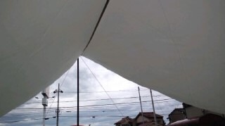 e0091220_16552289.jpg