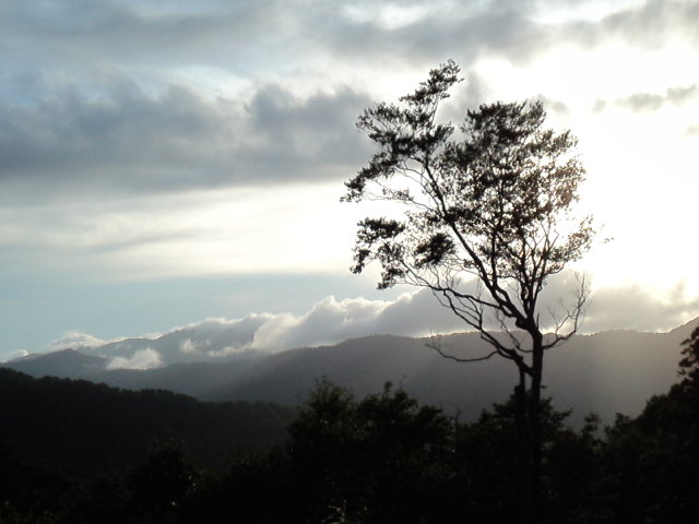 d0008724_23253638.jpg