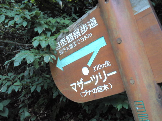 d0008724_23261781.jpg