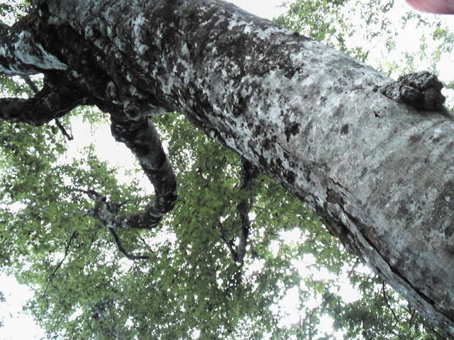 d0008724_23262935.jpg