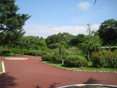 f0158625_15225706.jpg