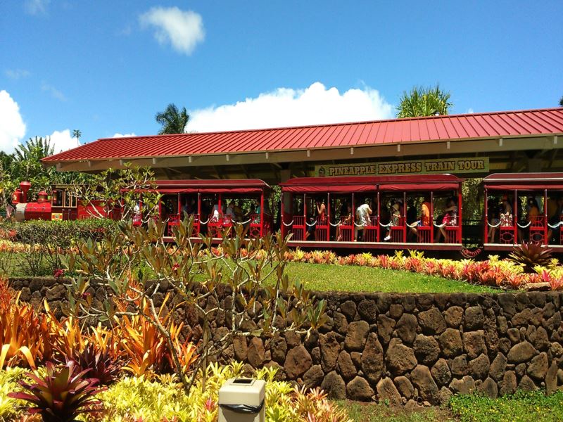 c0077835_647265.jpg