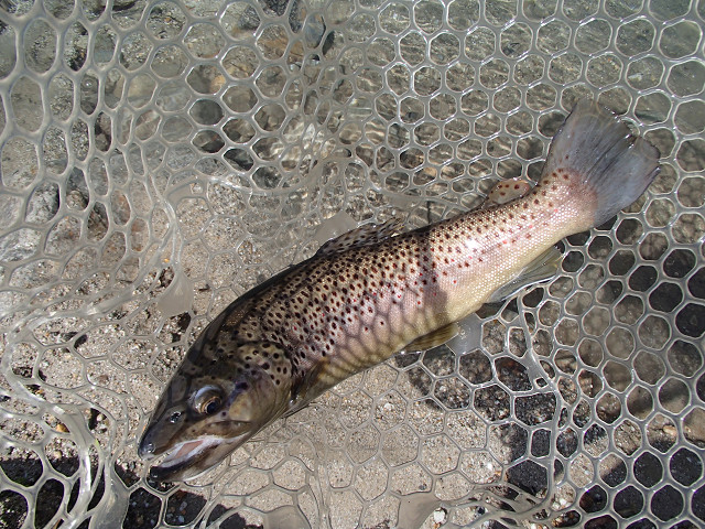 f0065341_14432116.jpg