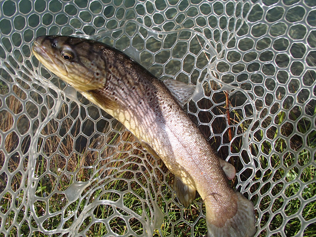 f0065341_14443041.jpg