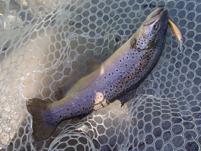 f0065341_1445238.jpg