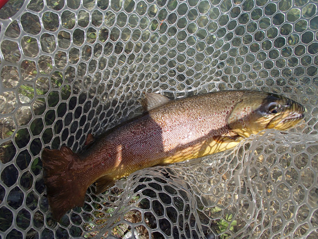 f0065341_14473812.jpg