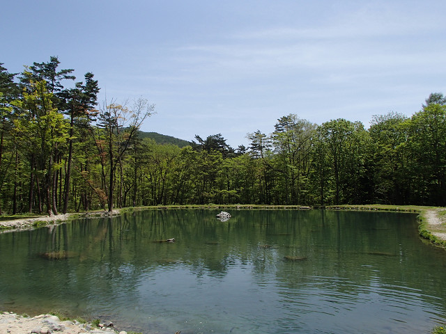 f0065341_14475011.jpg