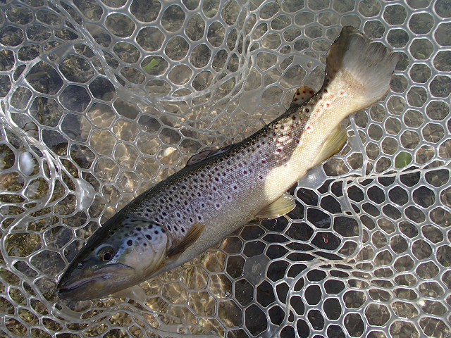 f0065341_14501256.jpg