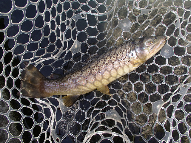 f0065341_14532857.jpg