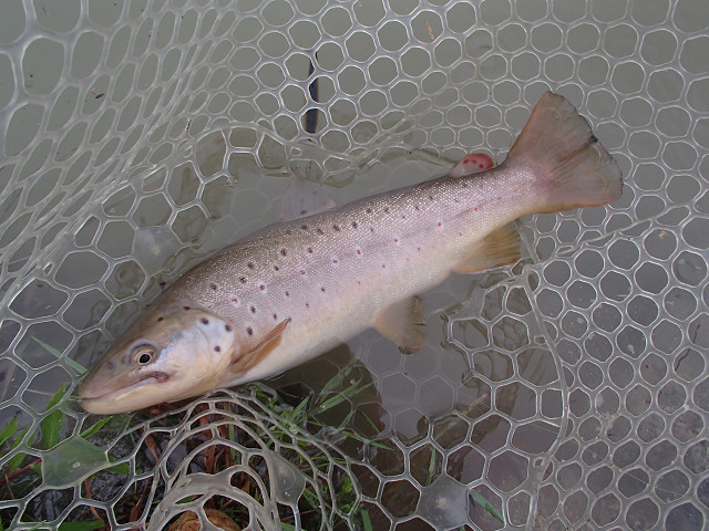f0065341_2115328.jpg