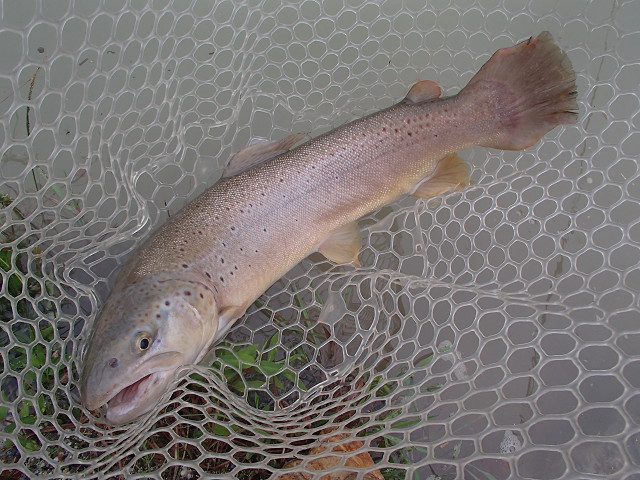 f0065341_21252.jpg